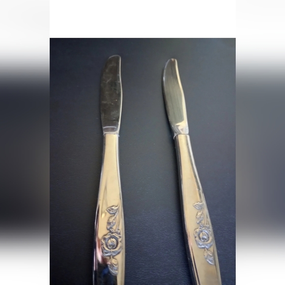 Oneida OUR ROSE Stainless 2 Dinner Knives SSS Scientific Glossy Flatware - Picture 3 of 7